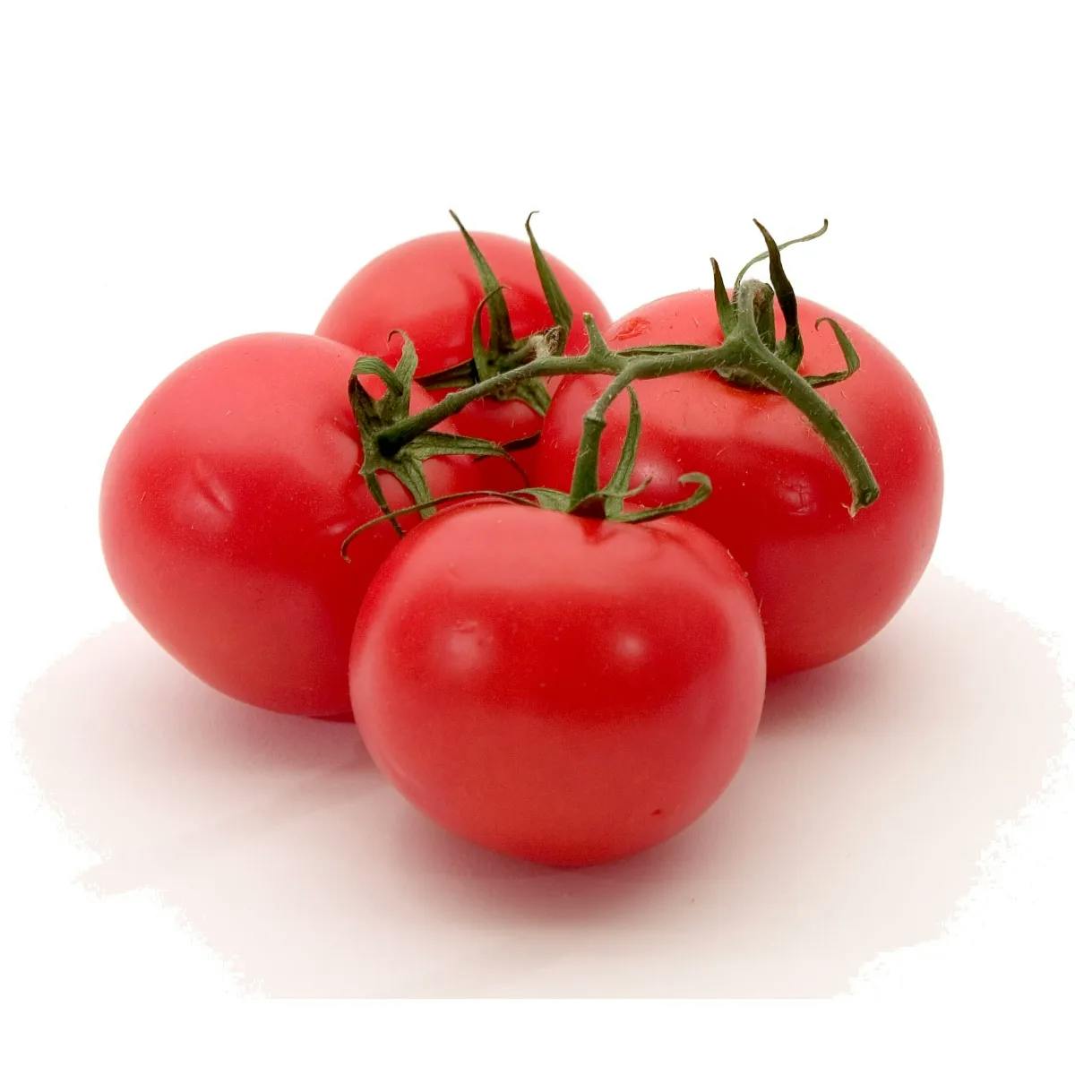 https://tradewindsblobproduction.blob.core.windows.net/tradewinds-static/product_image/1696227121-Tomato-Price-in-Bangladesh.webp