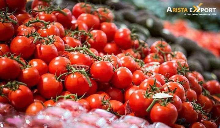 https://tradewindsblobproduction.blob.core.windows.net/tradewinds-static/product_image/1696227129-Bangladeshi-Tomato-Exporters.jpg