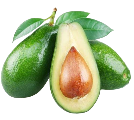 Fresh Avacado Fruits, 25kg