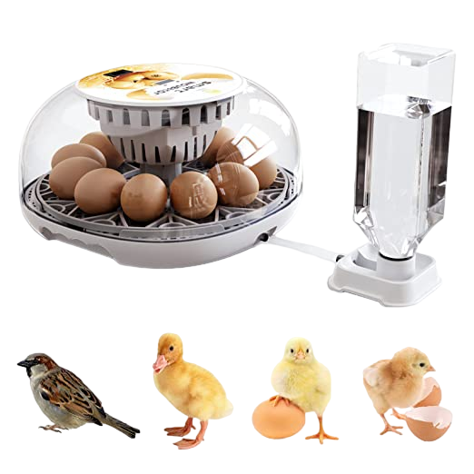 Automatic Egg Turner, Humidifier
