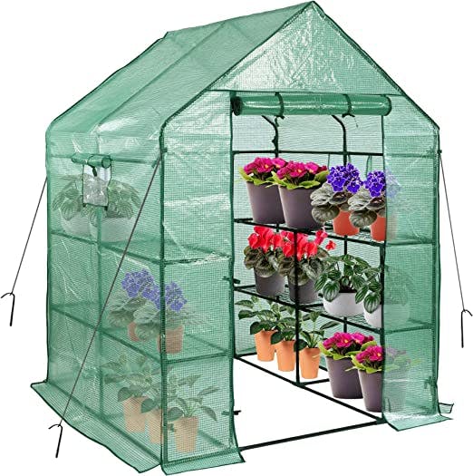 Green House for Garden Plants