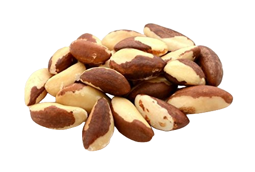 Brazil Nuts