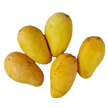 Potato- আলু