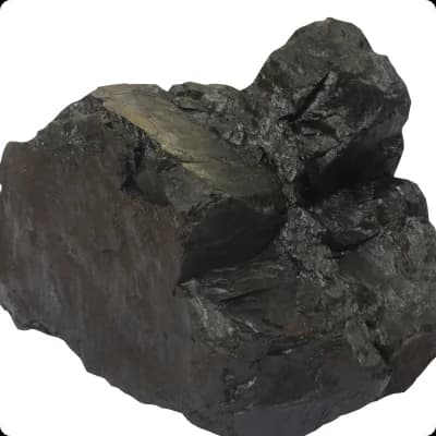 Coal