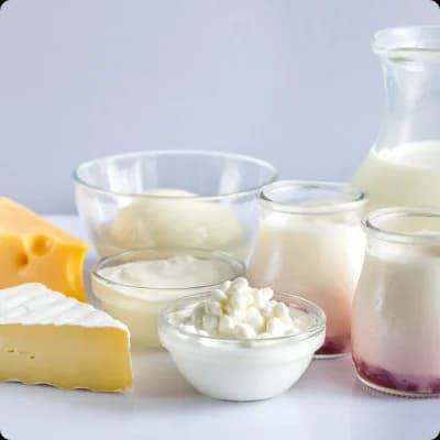 Dairy Products