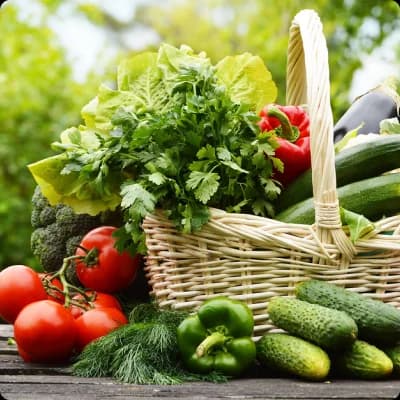 Fresh Vegetables